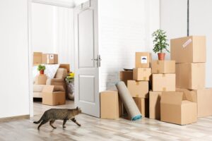 House Movers in Dubai